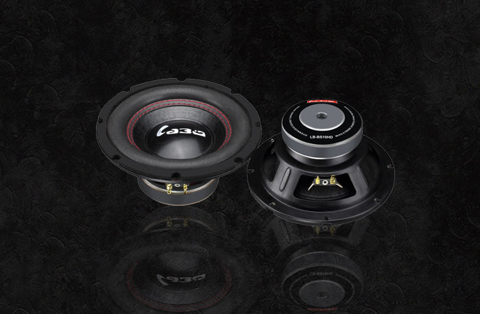 LB-BS10HD